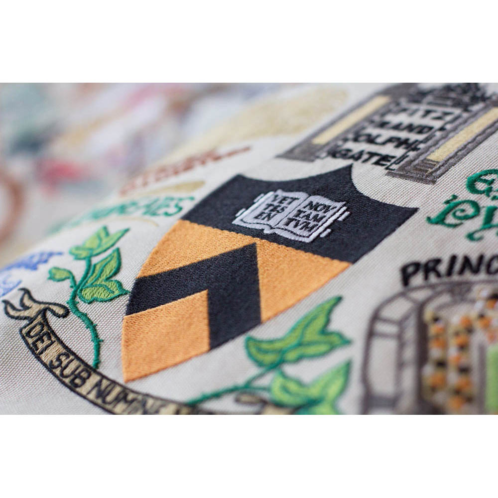 Princeton University Collegiate Embroidered Pillow by CatStudio-2